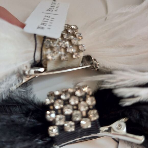 Set of 5 Feather & Rhinestone Hair &  Broches main image 6